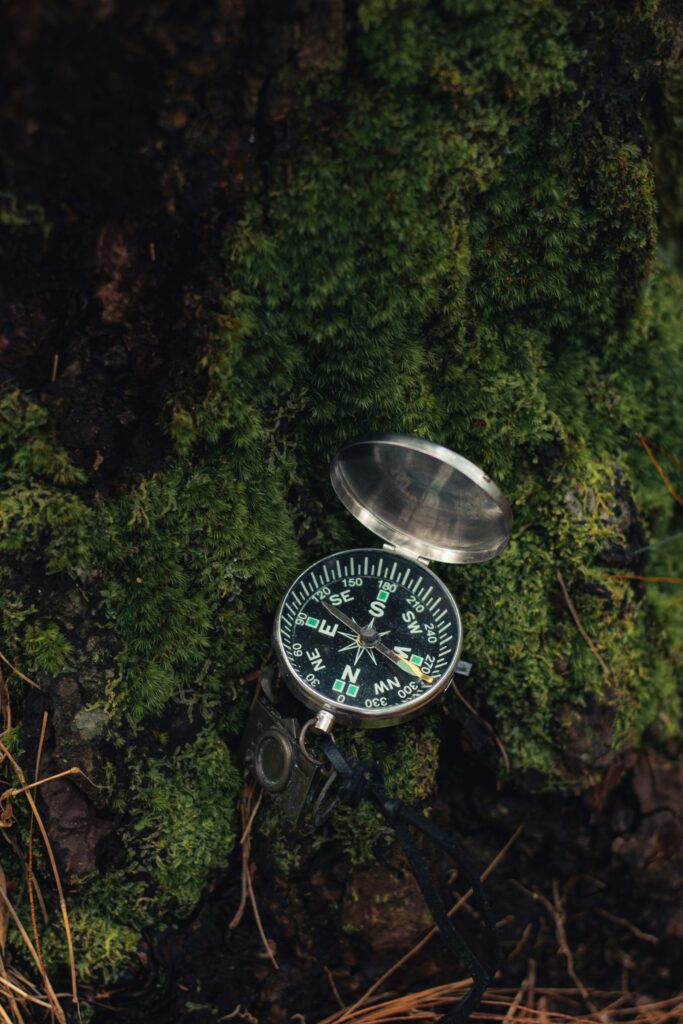 Compass resting on mossy ground
